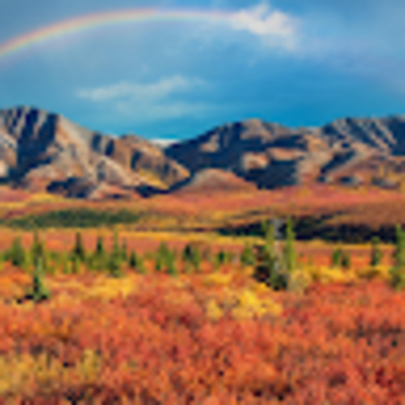 Meet your Posher, Haron r. - Picture 1 of 1